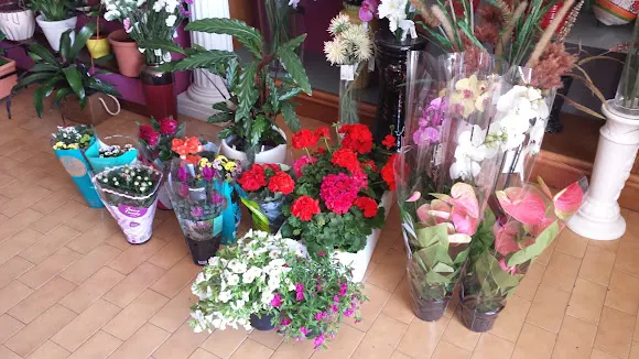 Flor Y Campo - Ponteceso