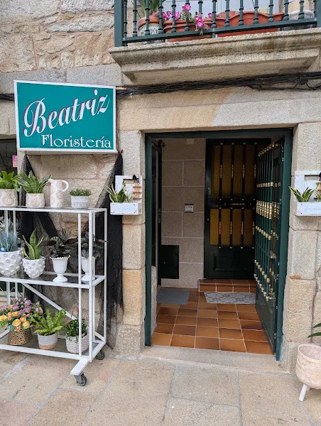Floristería Beatriz - Muros