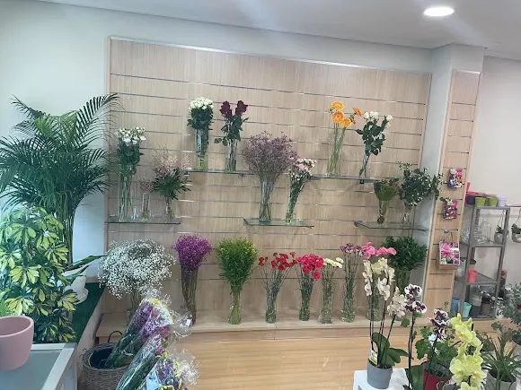 O Lar das flores - Arteixo