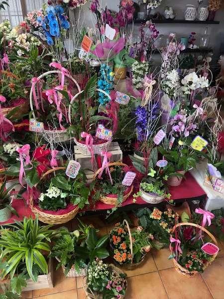 Floristería Alecrin - Val do Dubra