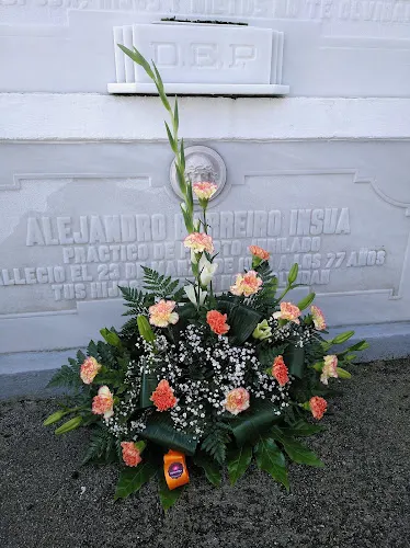 Agarimo flor - Santa Comba