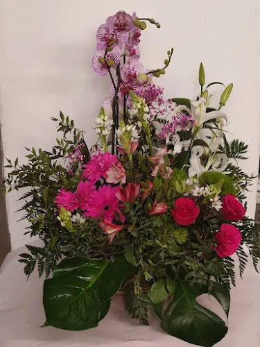 La milagrosa - Sada