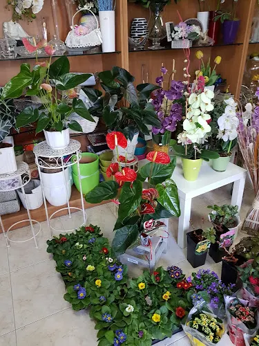 Floristería A Barca - Muxia