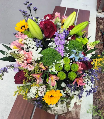 Floristería Raíces (La Buganvilla) - Bergondo