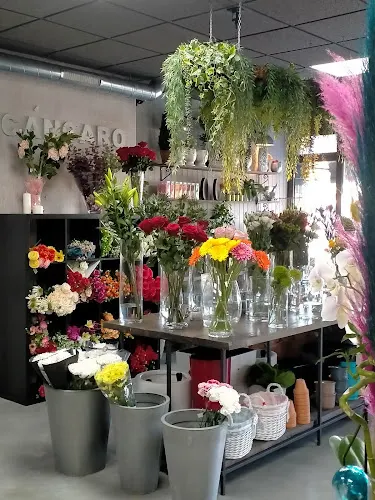 CÁNCARO - Arteixo
