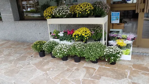 Xulian Floristeria
