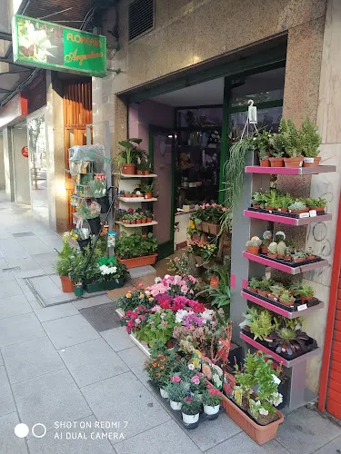 Floristería Argentina Arte Floral