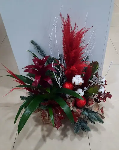 Alecrym diseño floral - Teo