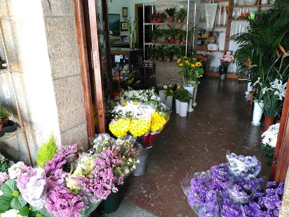 Flores Obdulia
