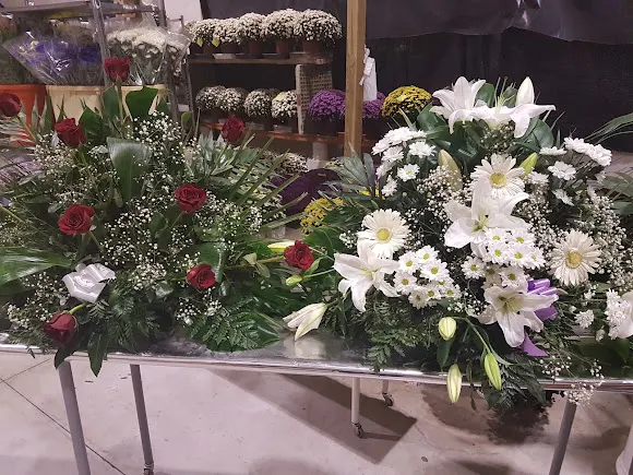 ALMACÉN DE FLORES FRESCAS pica flor. - Oyon-Oion