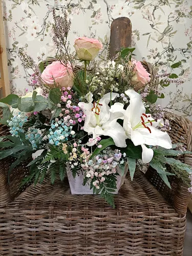 Floristería Vi DREAMS FLOWERS Gallarta - Abanto y Ciervana-Abanto Zierbena