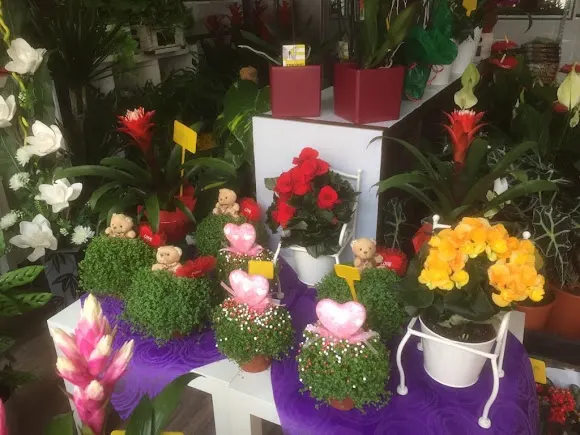 Floristería Sonia - Tobarra