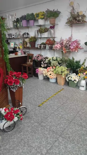 Floristería Feria 25 - Albacete
