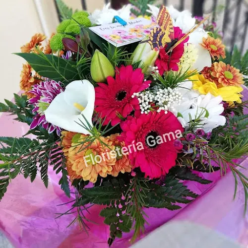 Floristeria Perséfone - Hellín