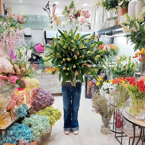 Floristeria Amarylis - Madrid - Madrid
