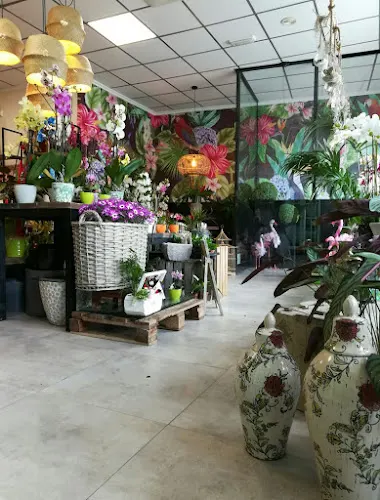 Floristería Azahar Altea - Altea