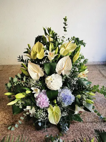 FLORISTERIA PURA