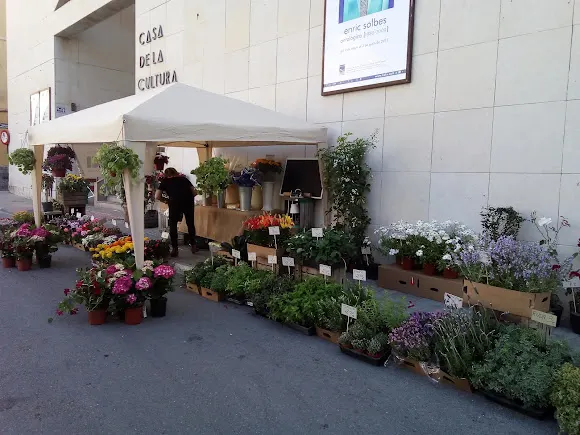 Floristería Queti - Villena