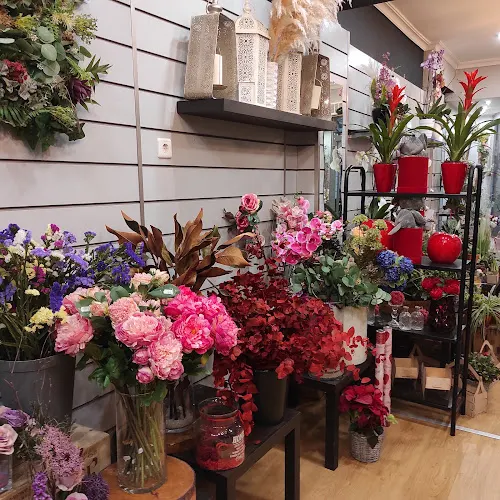 Floristería San Blas Alicante. Flores a domicilio en Alicante. Floristería Alicante