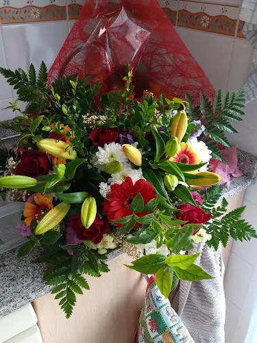 Casavieja Floristas - Benijofar