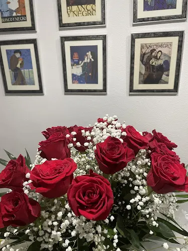 Natura Floristas - Elda