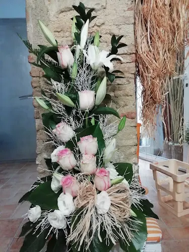 Fotosintesi - Denia