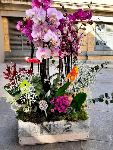 Floristería Mary