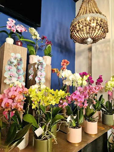 Floristería Bloom Albir