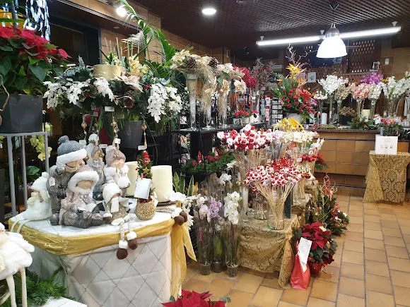 ILICITANA DE FLORES Y PLANTAS, S.L.