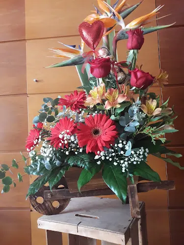 Balaguer Arte Floral - Vícar