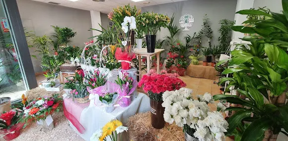 Floristería La Fleur Almeria