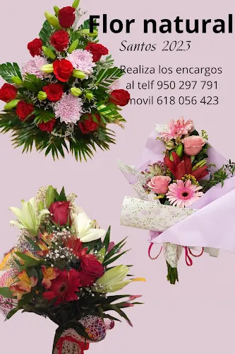 Floristería Kali