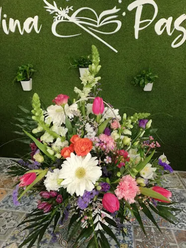 Floristería Divina Pastora