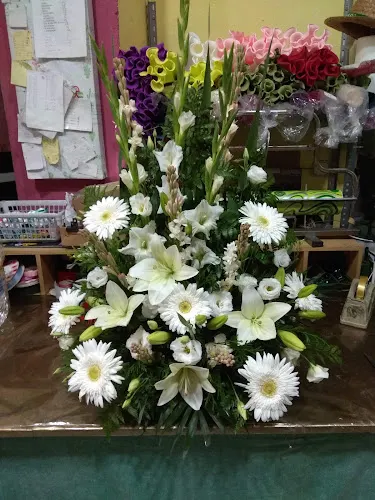 Javiflor