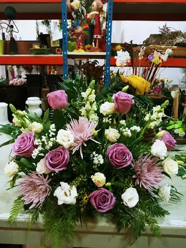 Floristería en Almería Madreselva