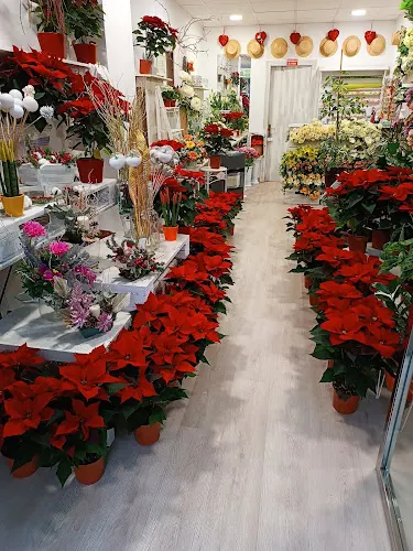 Floristería Marna - Norena