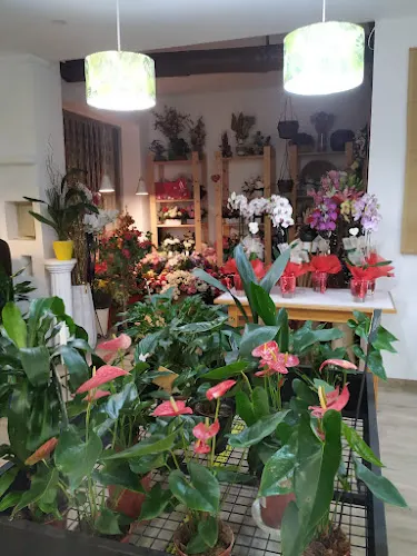 Floristería Anita