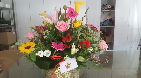 Floristería Aguadulce - Aguadulce