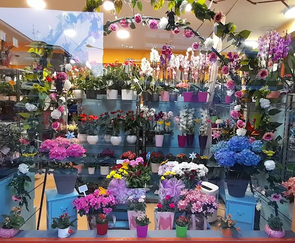Feitizos Arte Floral - Pinto