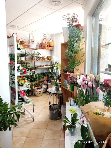 Flores y Plantas Mary - Navia