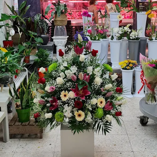 Flowering Hortaleza