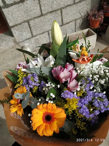 La Floristería