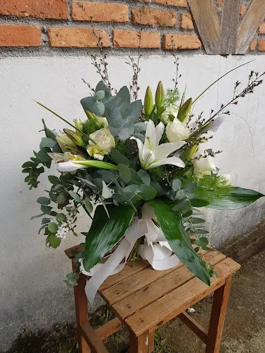 Peñas Blancas Flores y Plantas - Miengo