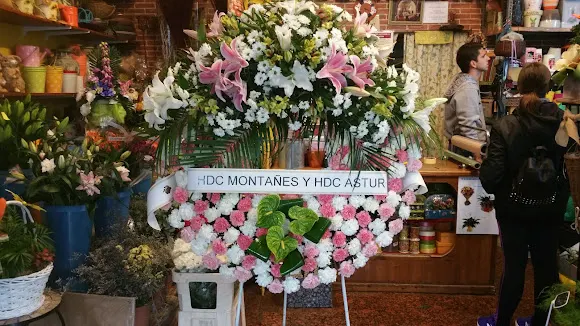 Floristería Rosal - Los Corrales de Buelna