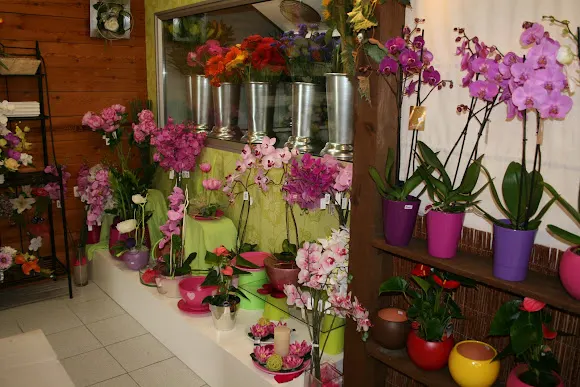Floristería Madreselva - Sotillo de la Adrada
