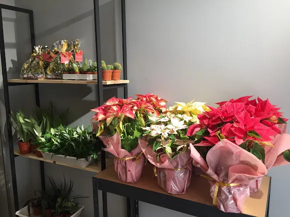 La Boutique de las Flores - Villafranca de los Caballeros
