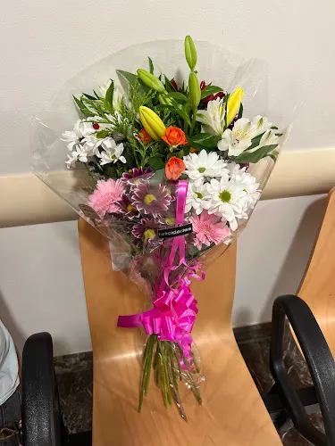 Flores y Plantas Mayte - Madrid