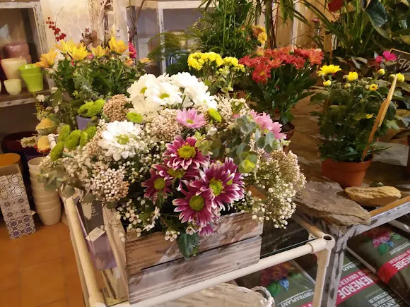 Floristería Nomeolvides_Bejar - Béjar
