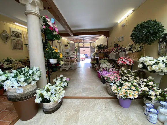 El Valle Floristas - Villanueva de los Infantes