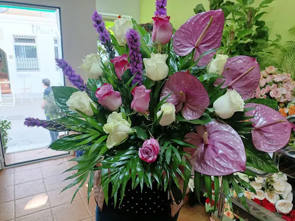 Floristería Inma - Llerena